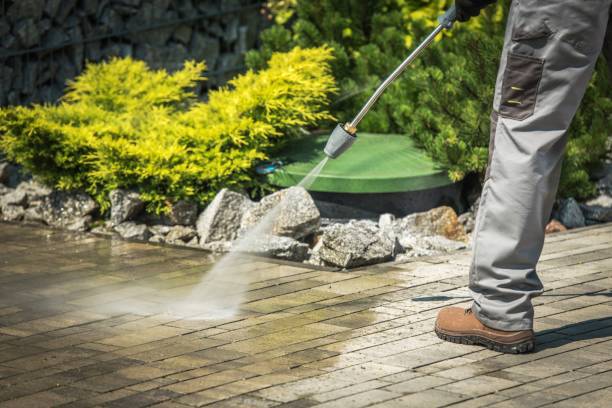 Best Residential Pressure Washing in Victoria, MS